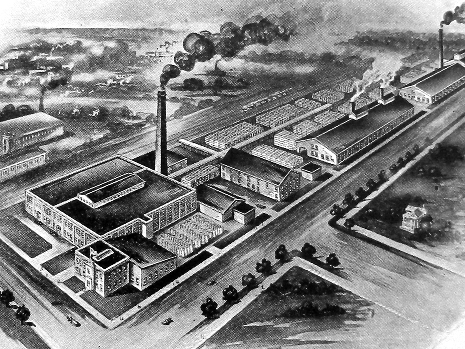 Frost Wire Fence Plant