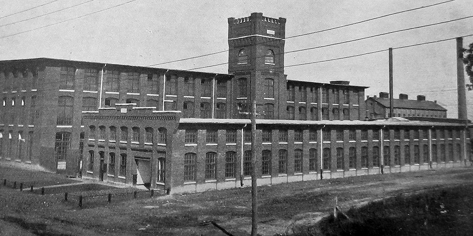 Imperial Plant Photo