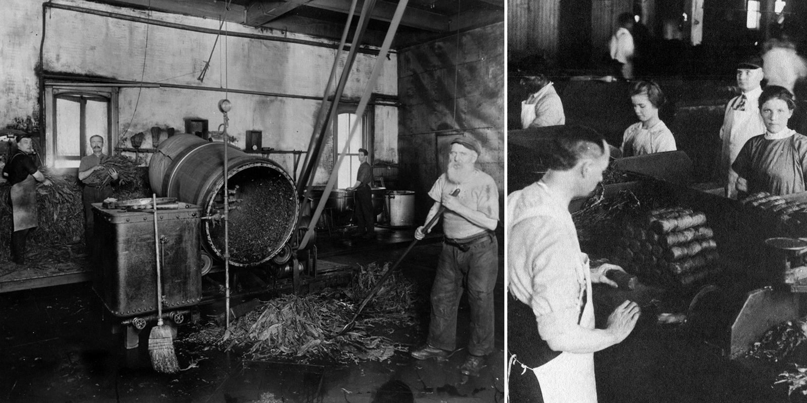 Tuckett Factory laboureres